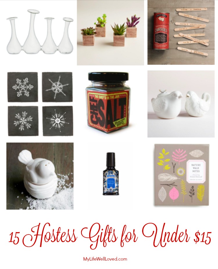 Quick Gift Ideas Under 15 Dollars - Healthy By Heather Brown