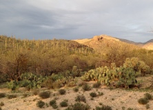 Tucson Arizona