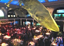 NYC Whale