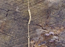Beautiful jewelry: Hand Chain