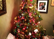 Little Christmas Tree